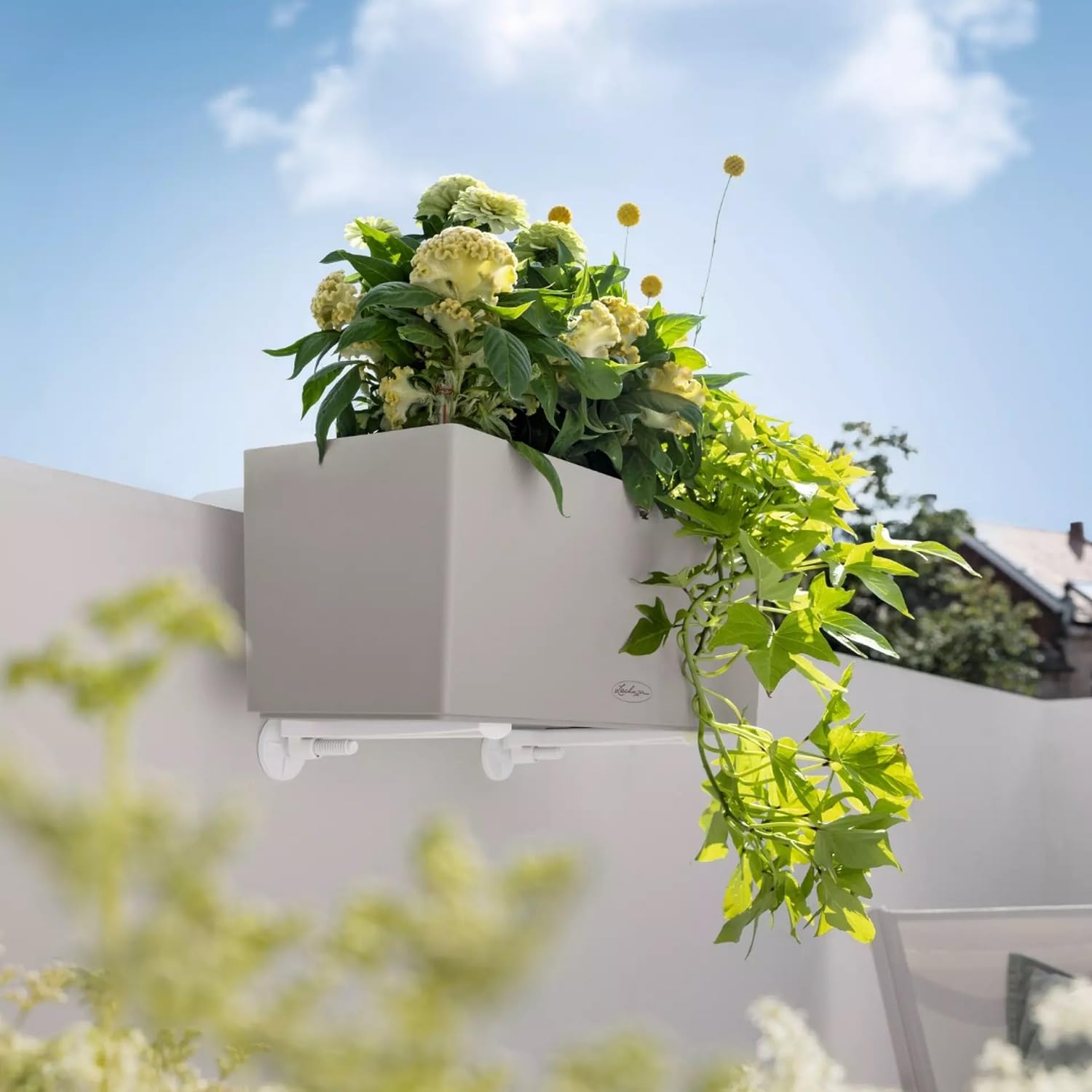 Amazon.com: Lechuza -Accessories Balcony Box Holder Wall Black 4.5